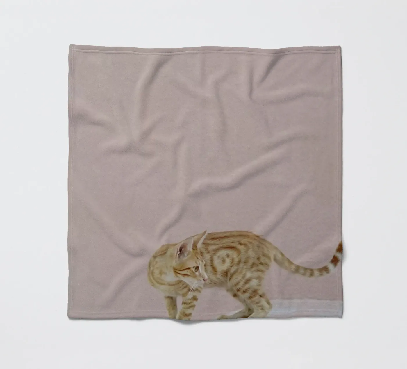 Tiger coperta in pile da EyeEm Mobile GmbH