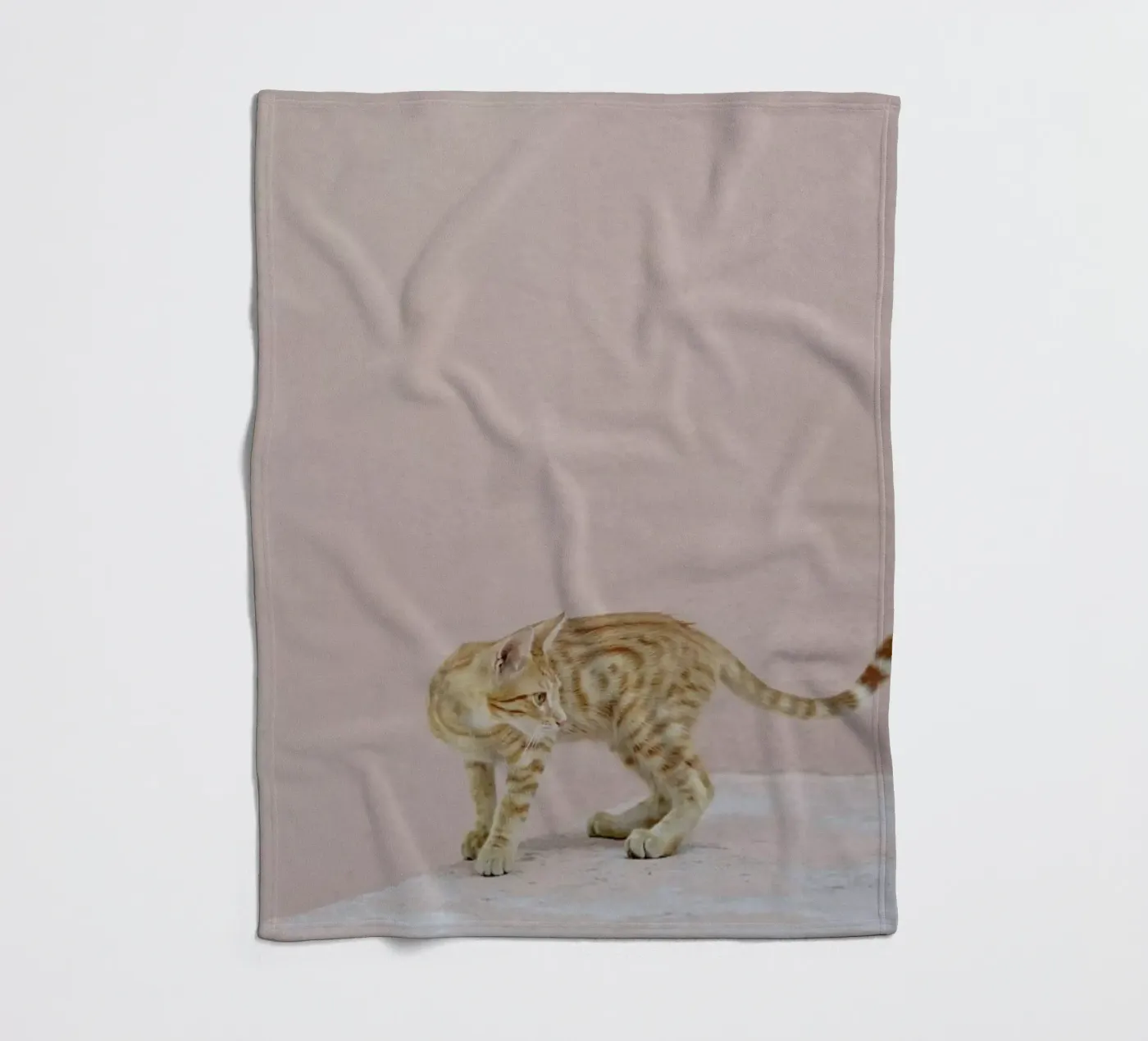 Tiger coperta in pile da EyeEm Mobile GmbH