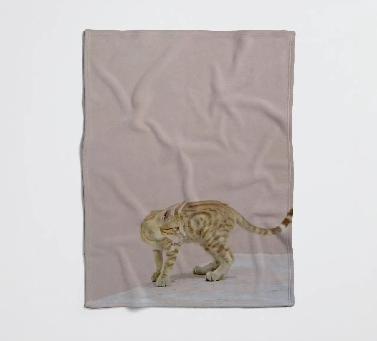 Tiger fleecedeken van EyeEm Mobile GmbH