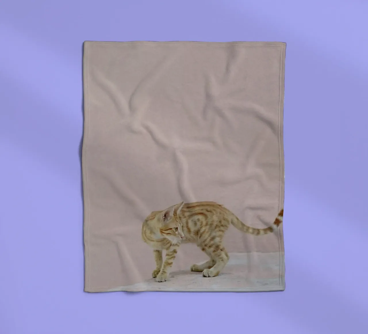 Tiger fleecedeken van EyeEm Mobile GmbH