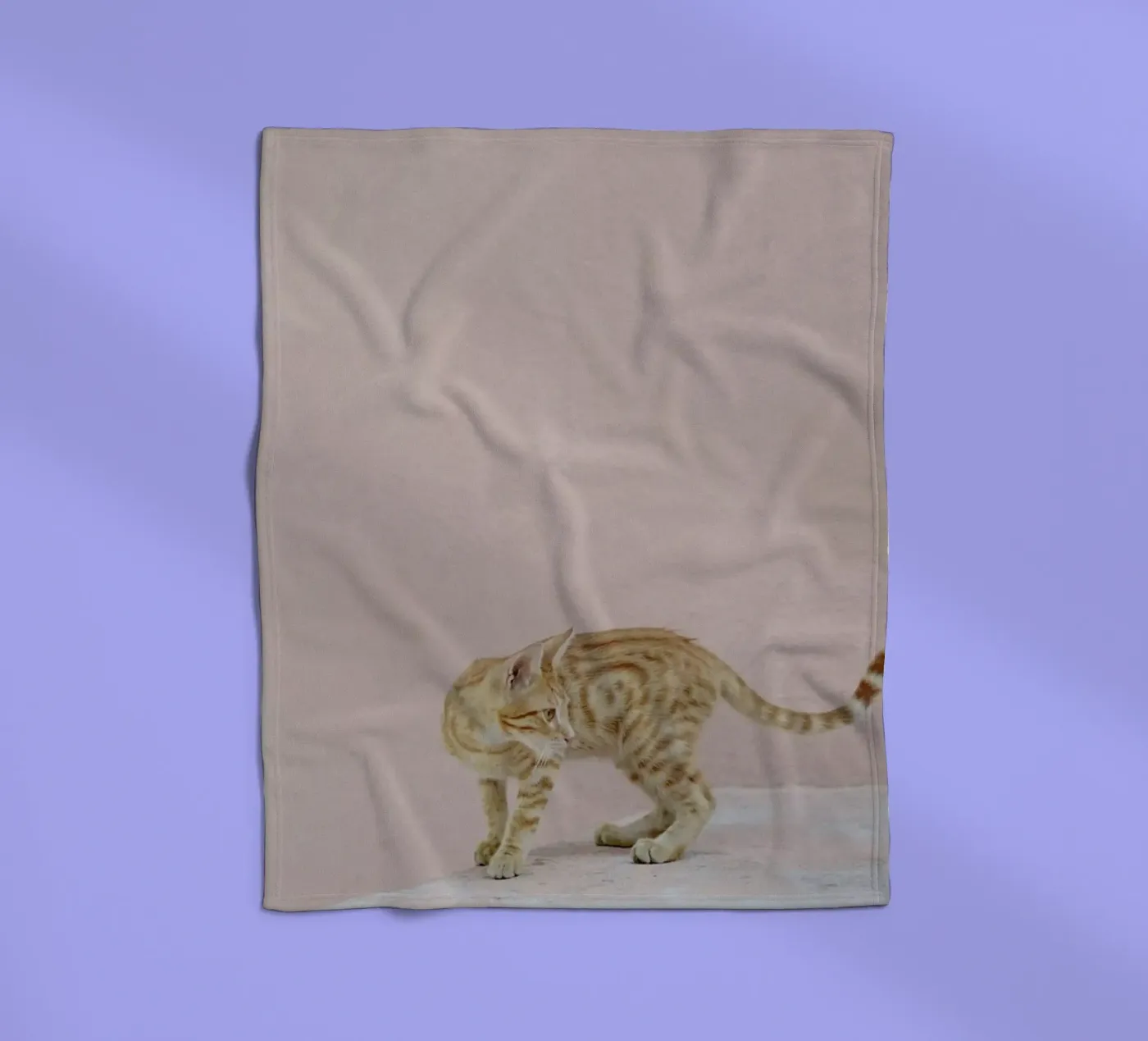 Tiger coperta in pile da EyeEm Mobile GmbH