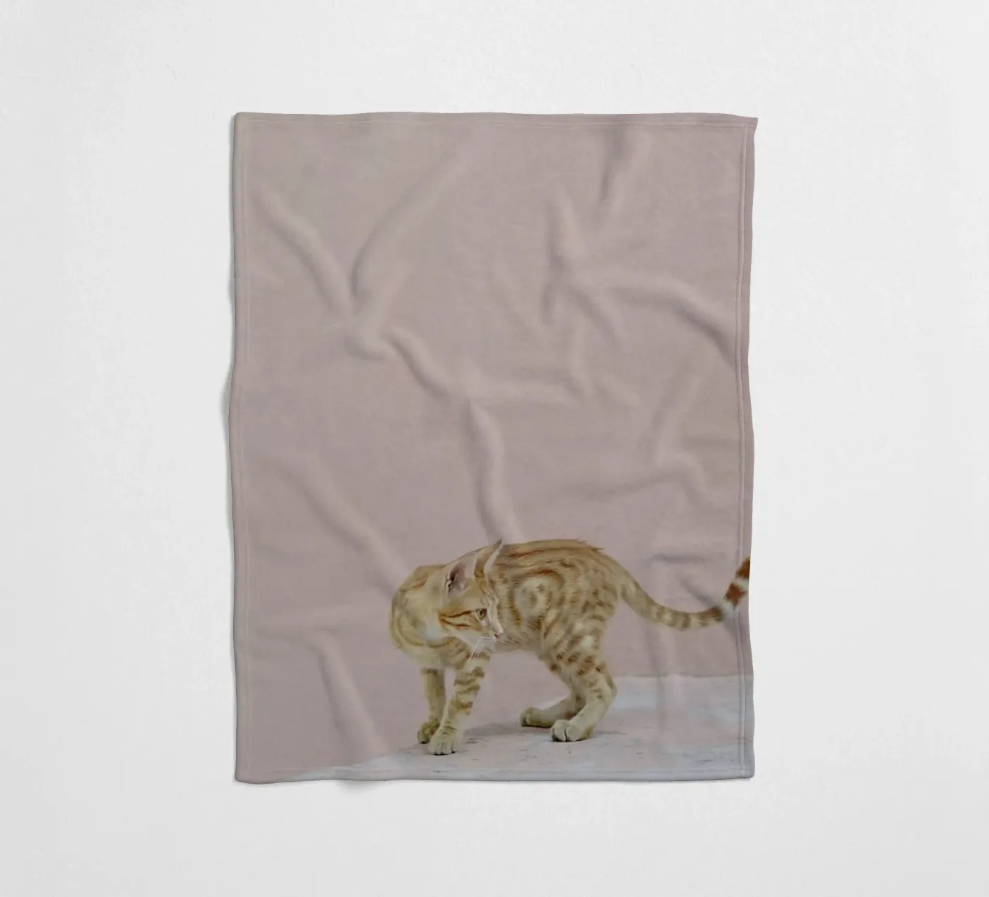 Tiger coperta in pile da EyeEm Mobile GmbH