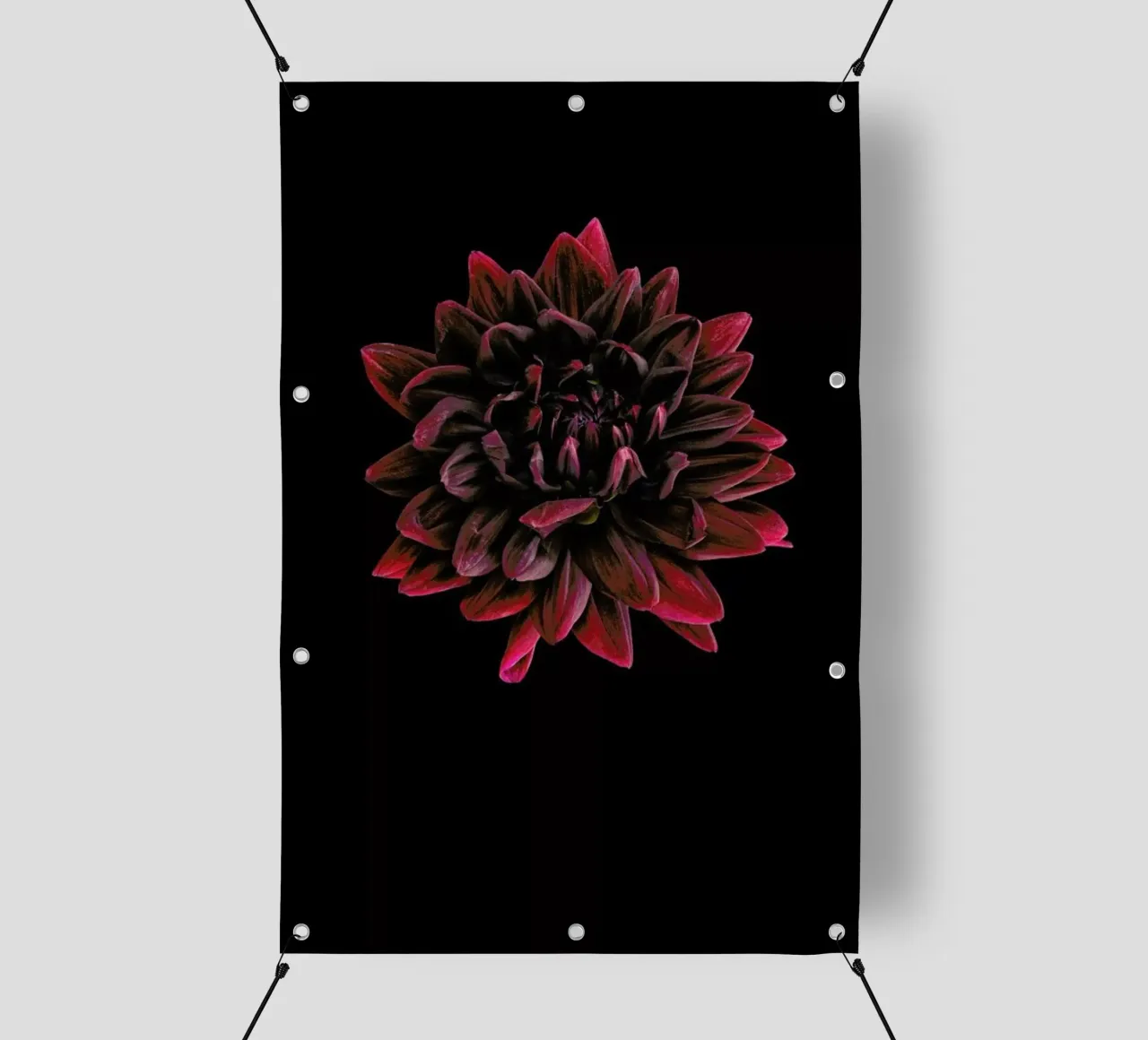 Dahlia 3 telo in pvc da Curious Collections by Marielle Leenders