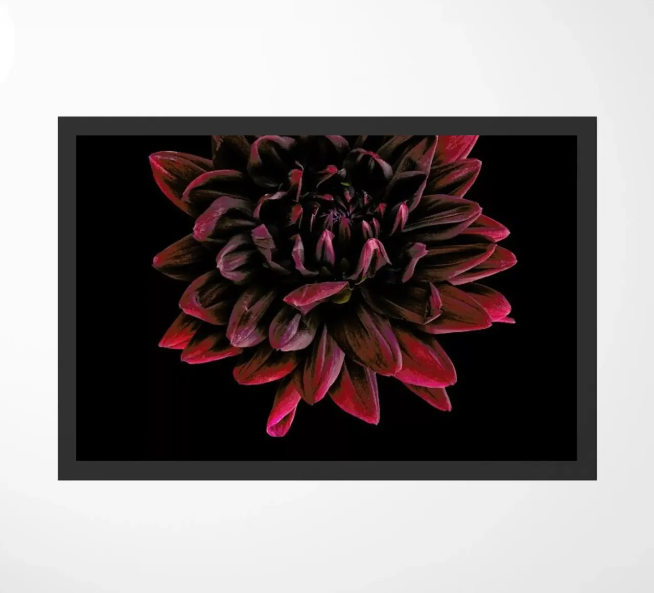 Dahlia 3 zerbino da Curious Collections by Marielle Leenders