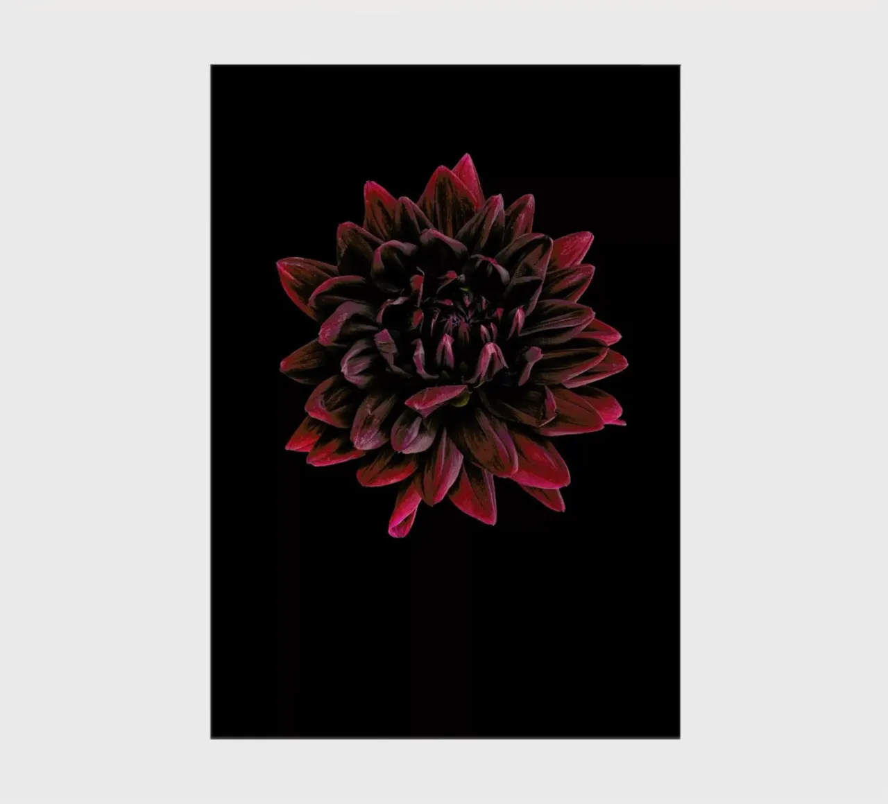 Dahlia 3 notebook by Curious Collections by Marielle Leenders