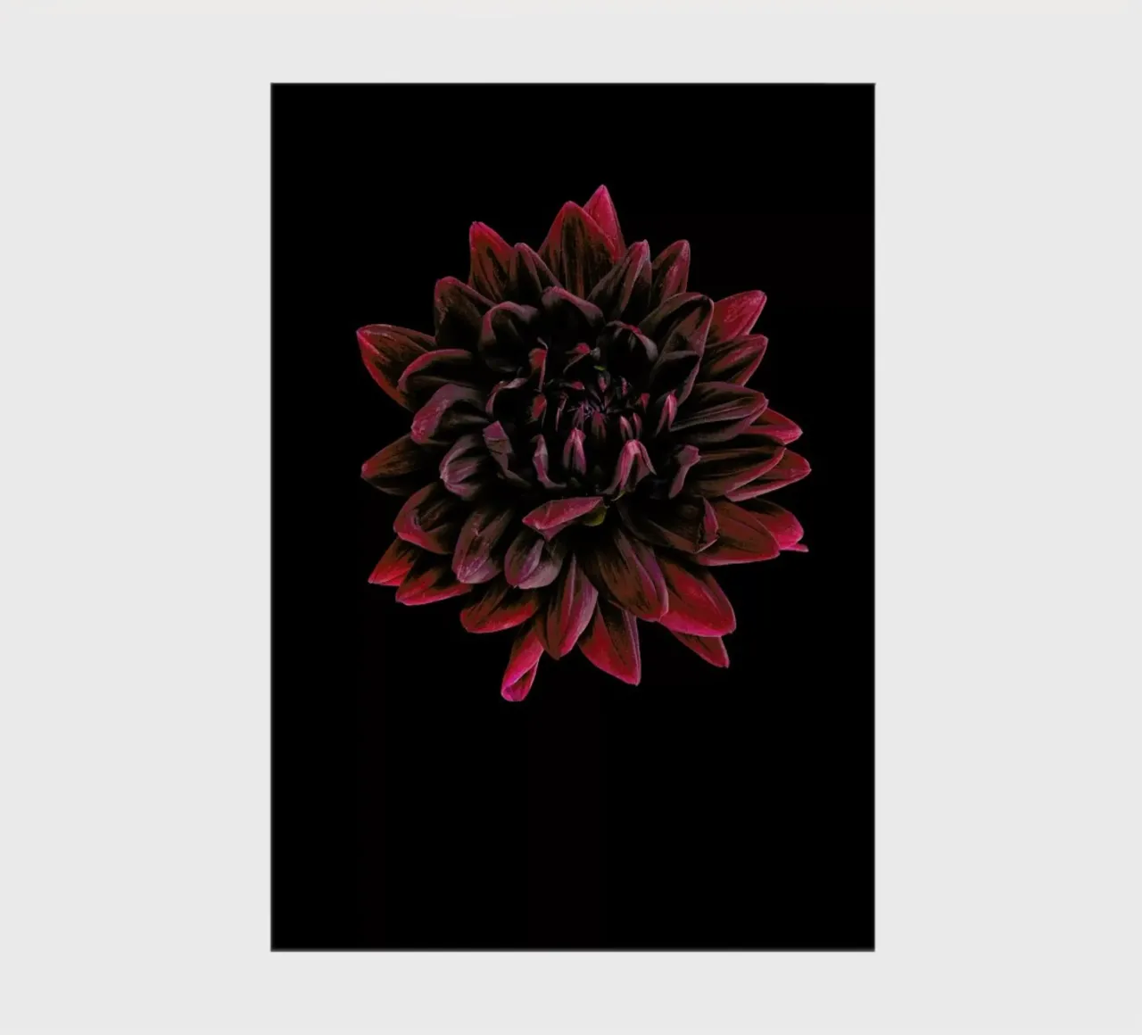 Dahlia 3 notebook by Curious Collections by Marielle Leenders