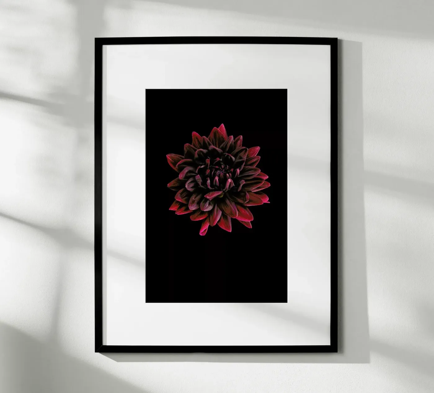 Dahlia 3 poster da Curious Collections by Marielle Leenders