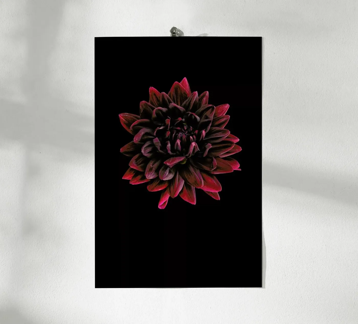 Dahlia 3 poster da Curious Collections by Marielle Leenders