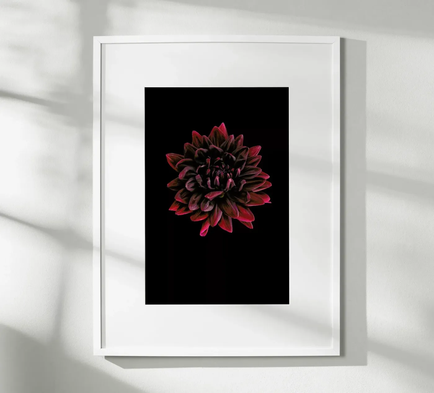 Dahlia 3 poster da Curious Collections by Marielle Leenders