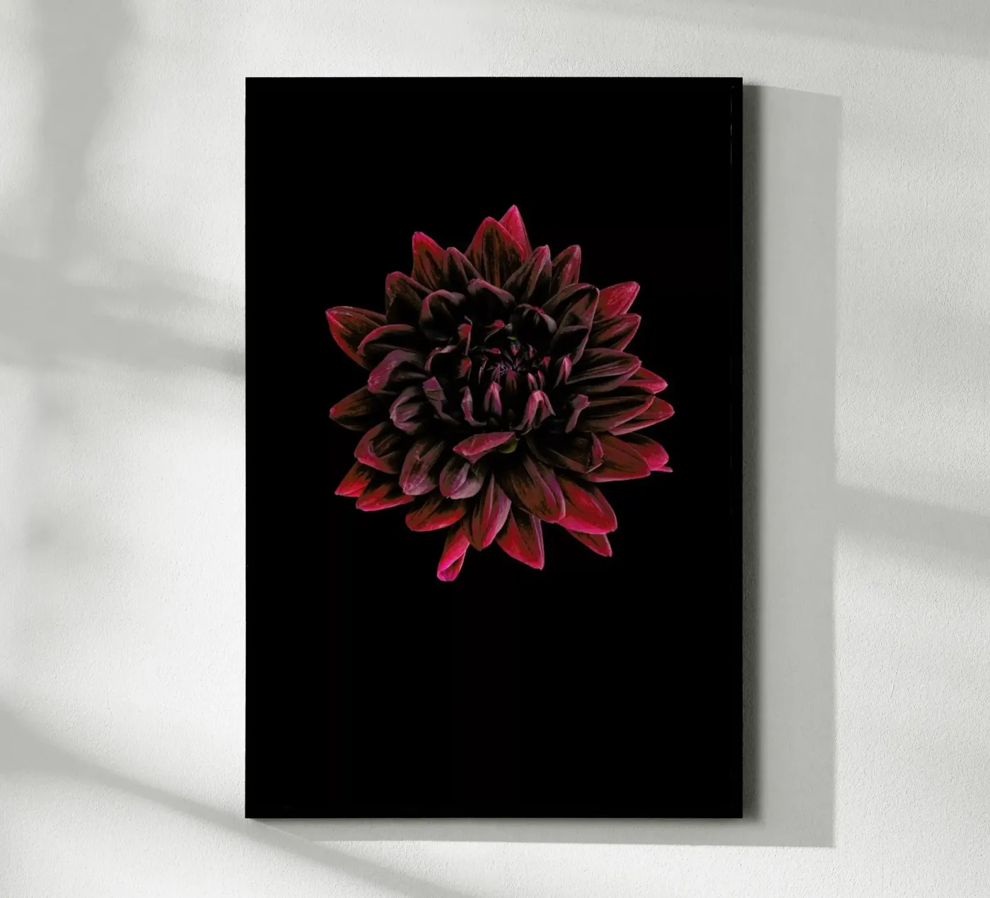 Dahlia 3 poster da Curious Collections by Marielle Leenders