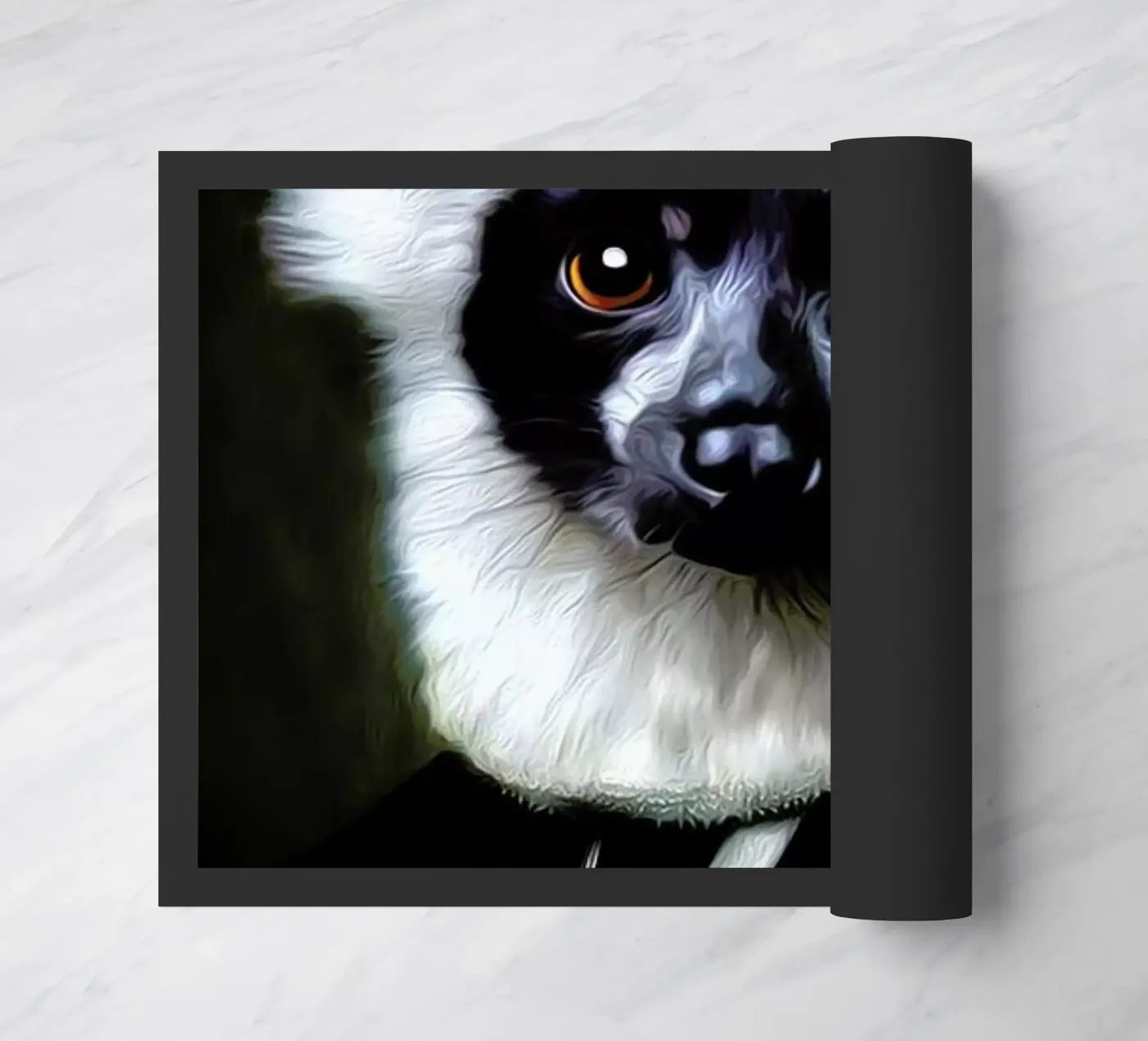 Leroy zerbino da Tein Lucasson