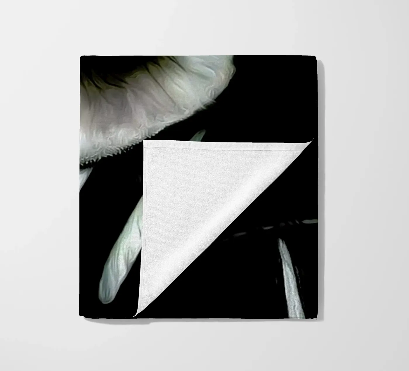 Leroy telo mare da Tein Lucasson