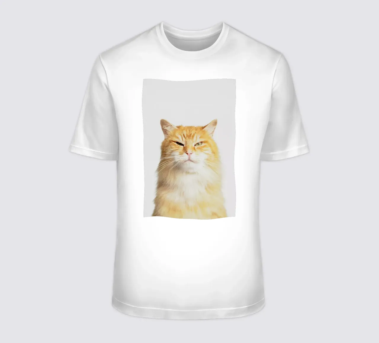 Scowl t-shirt da Paws & Claws