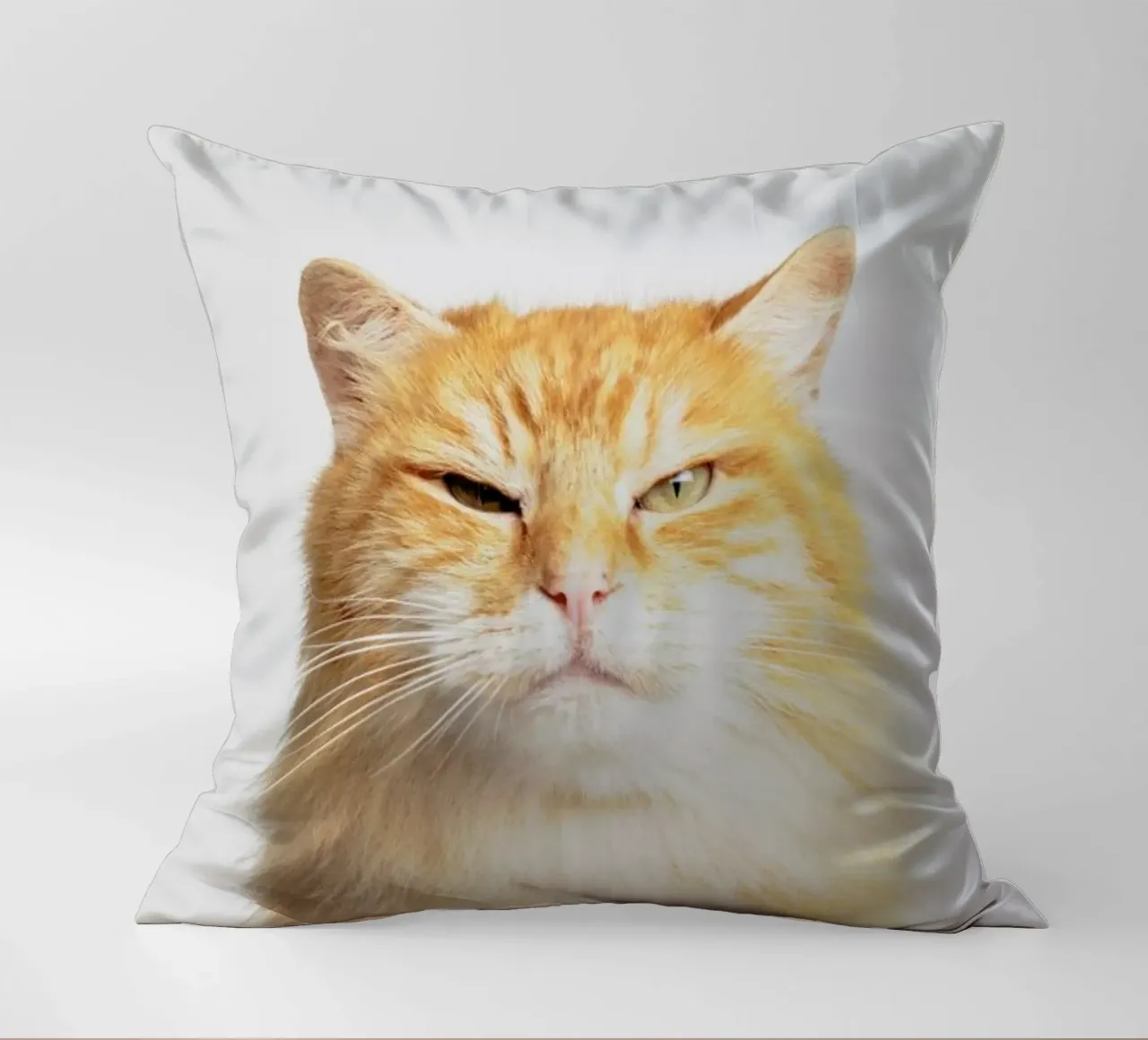 Scowl cuscino da Paws & Claws