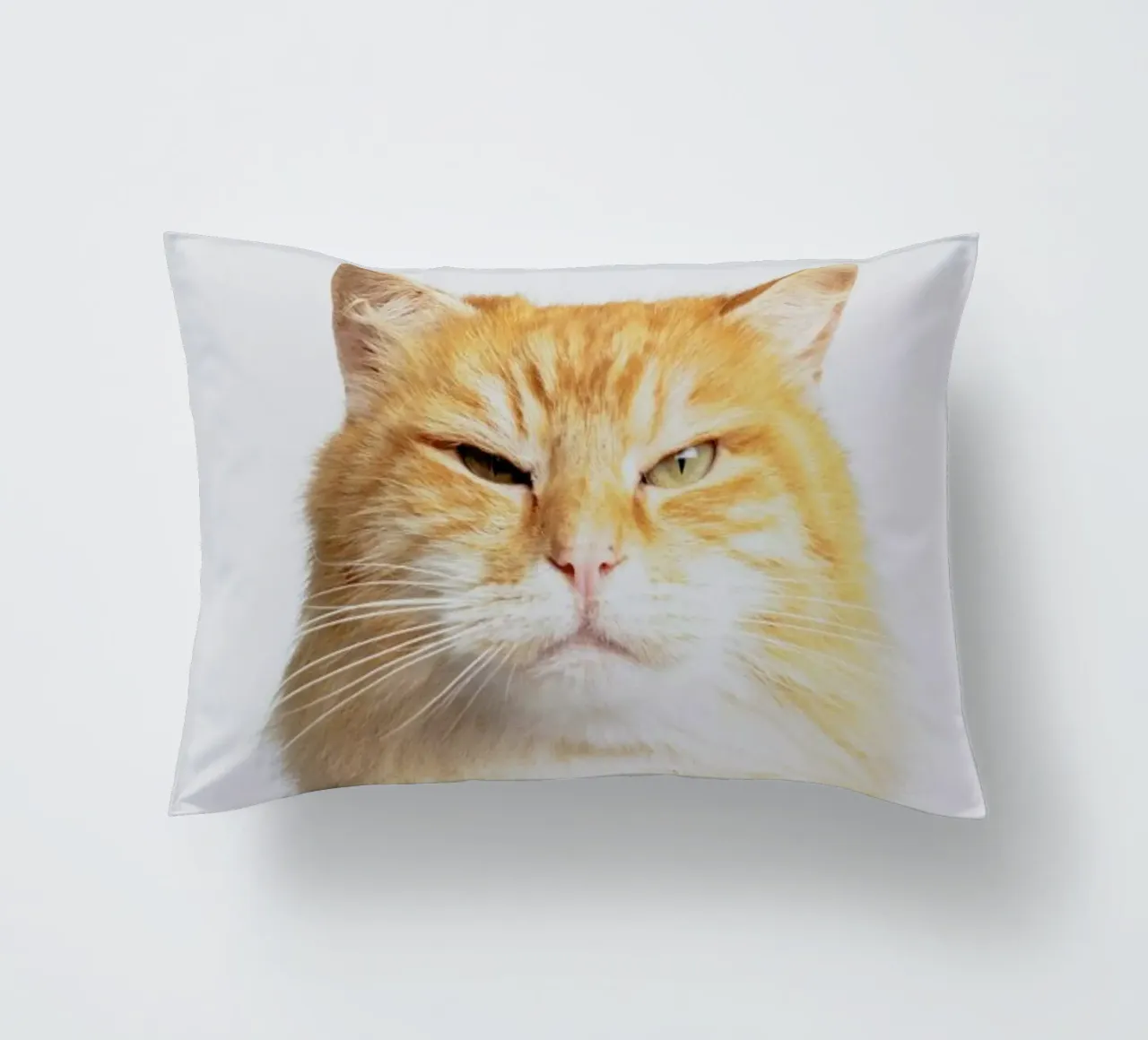 Scowl cuscino da Paws & Claws