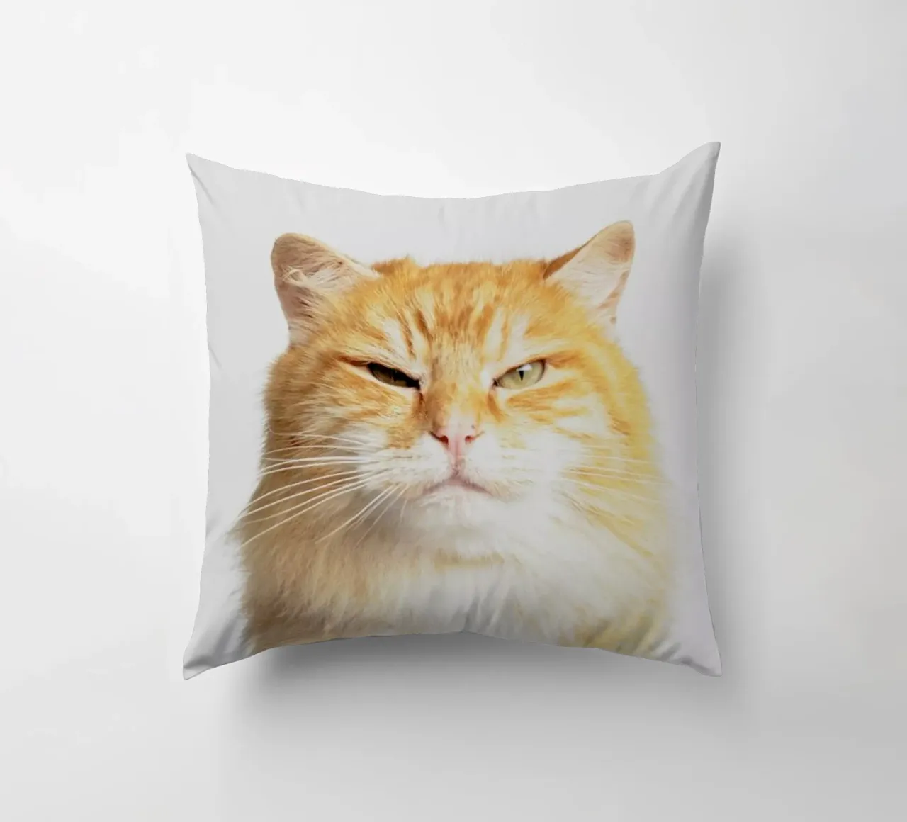 Scowl cuscino da Paws & Claws
