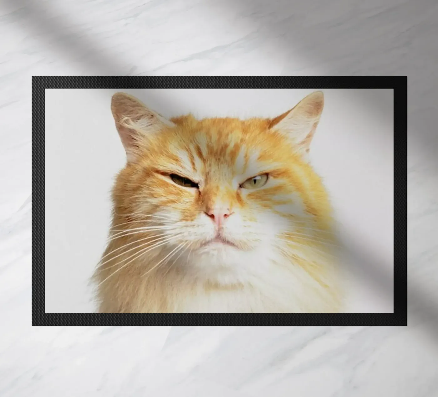 Scowl deurmat van Paws & Claws
