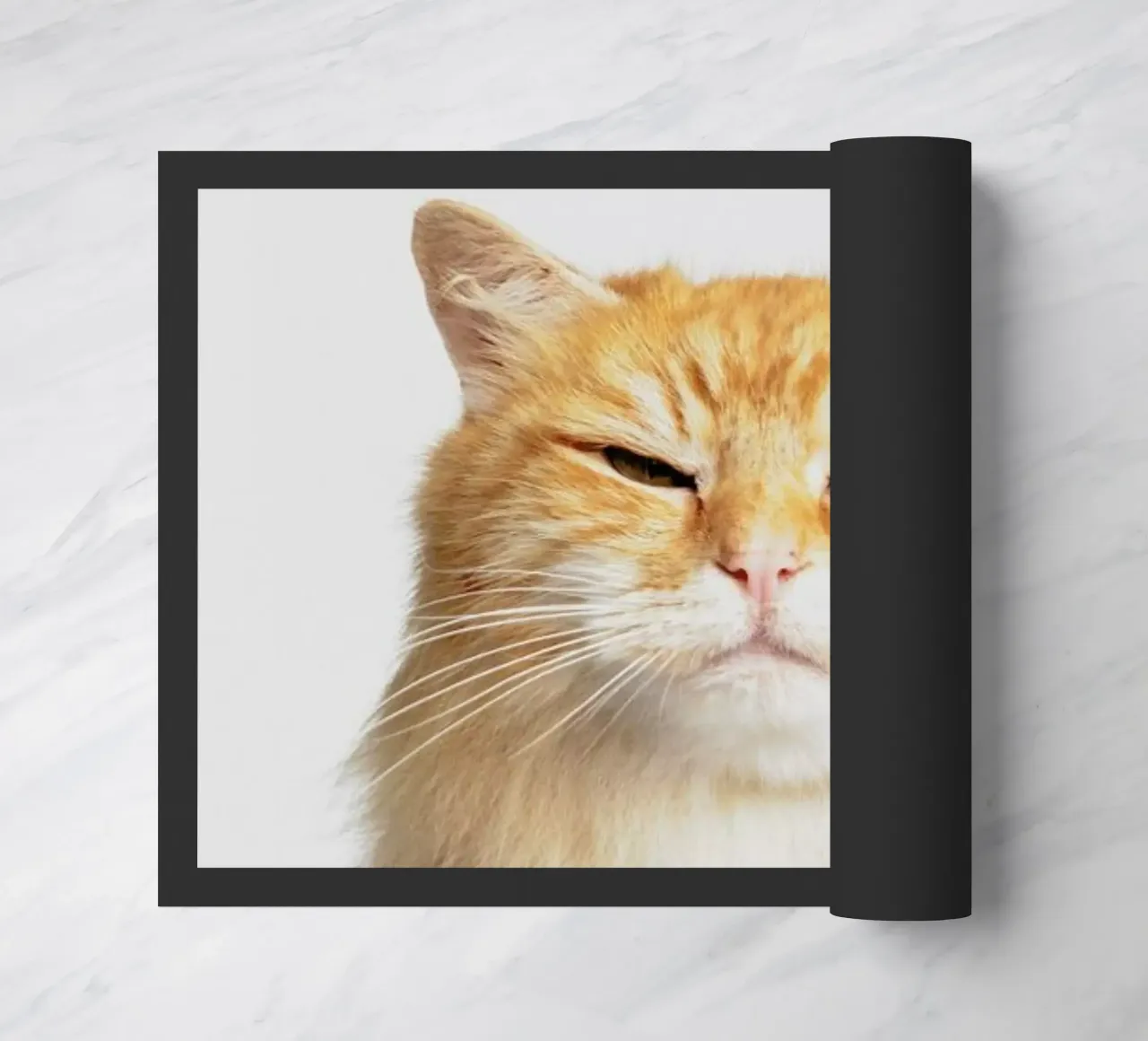 Scowl zerbino da Paws & Claws