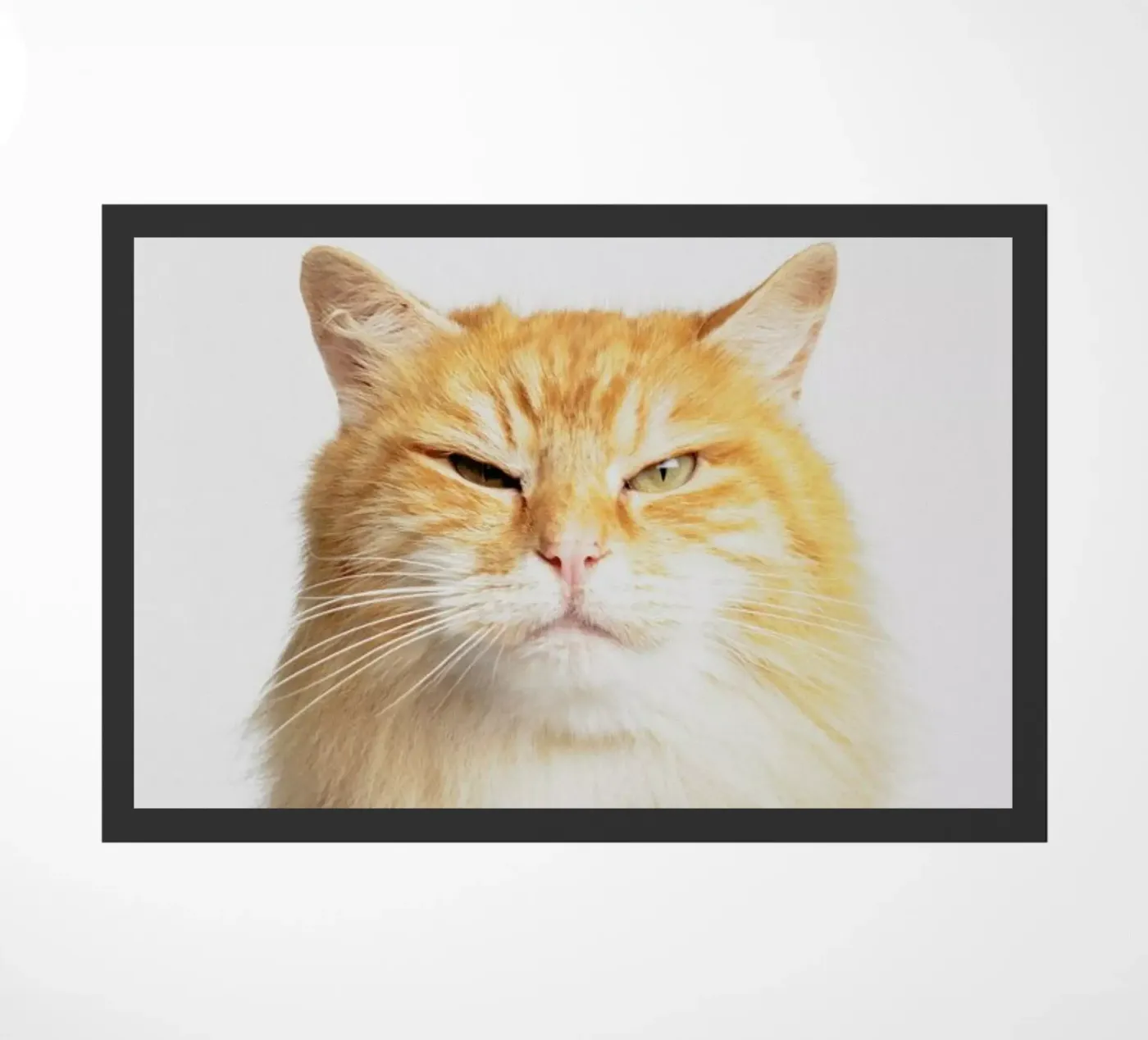 Scowl deurmat van Paws & Claws