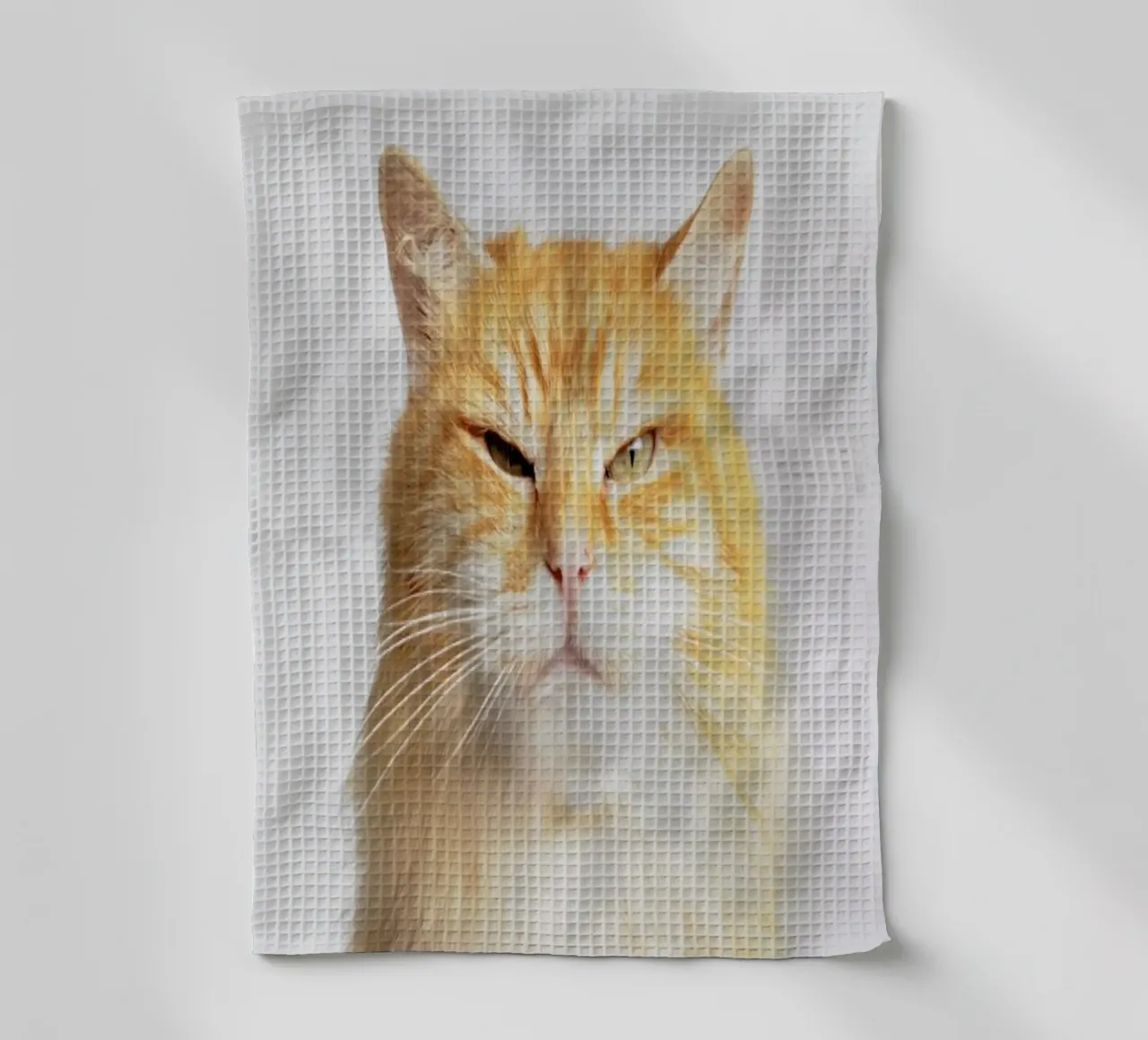 Scowl canovaccio da cucina da Paws & Claws