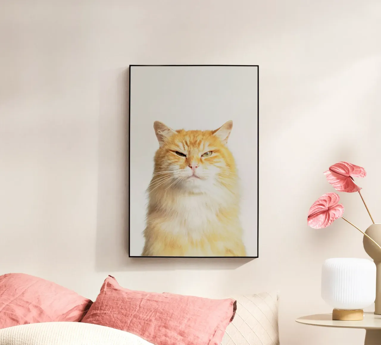 Scowl plexiglass da Paws & Claws