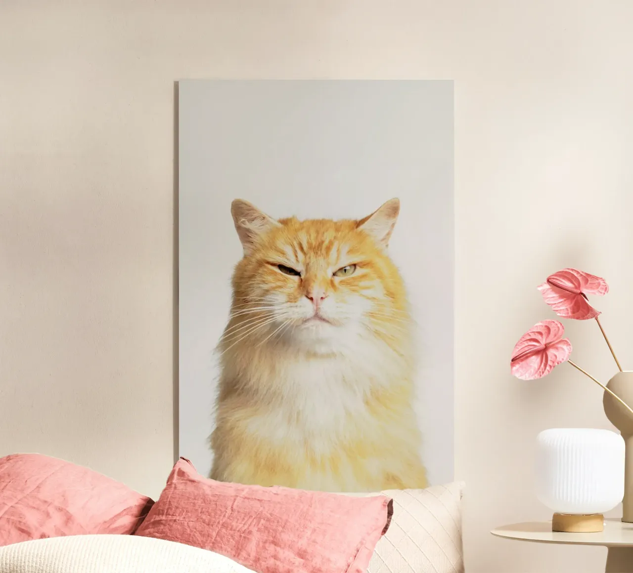 Scowl plexiglass da Paws & Claws