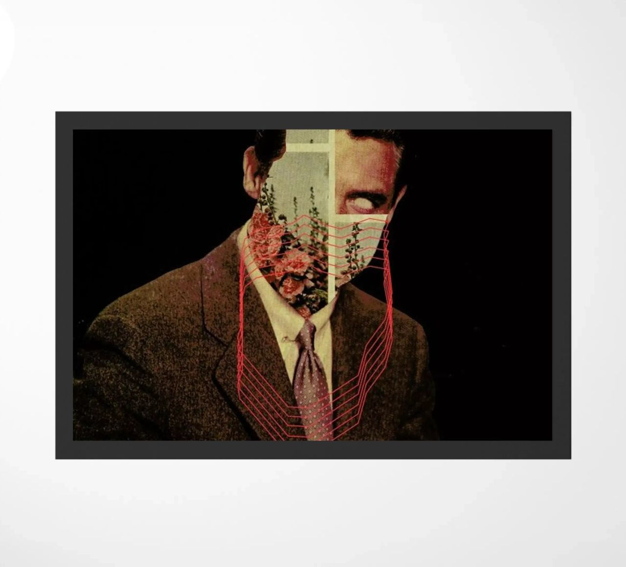 Portrait zerbino da Frank Moth