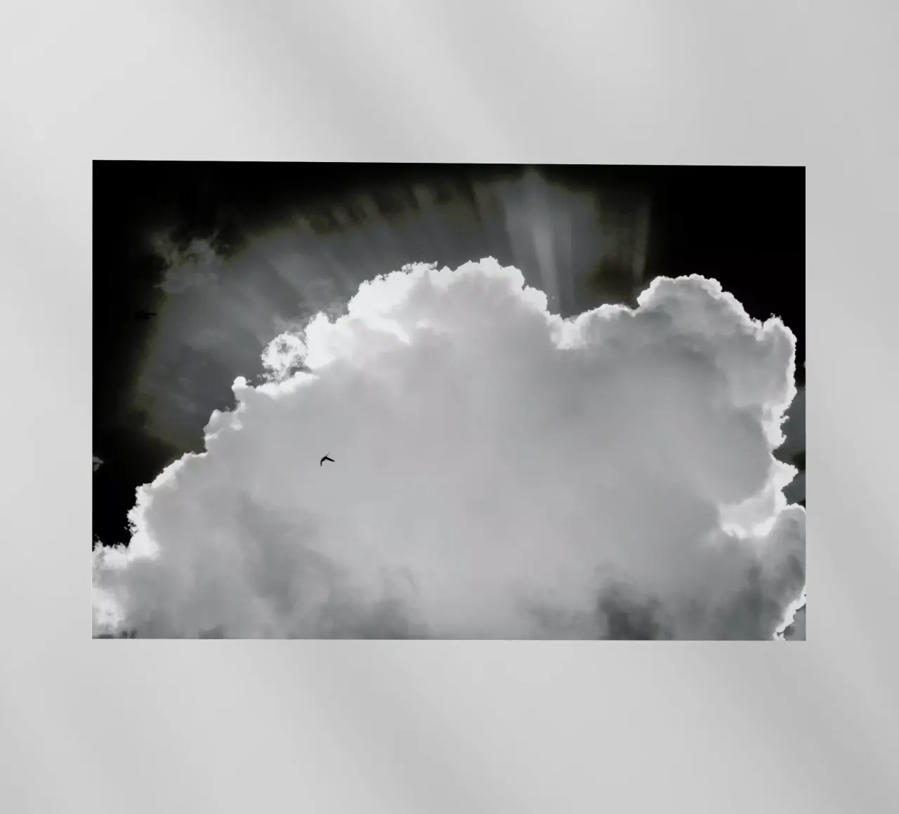 Heavenly backlit film by Tal Paz-Fridman