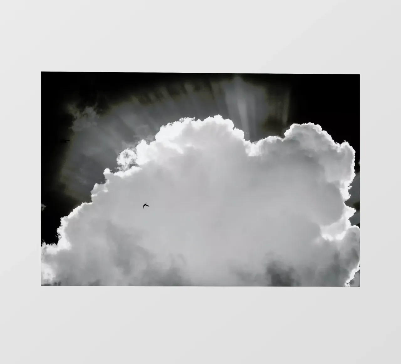 Heavenly telo in pvc da Tal Paz-Fridman