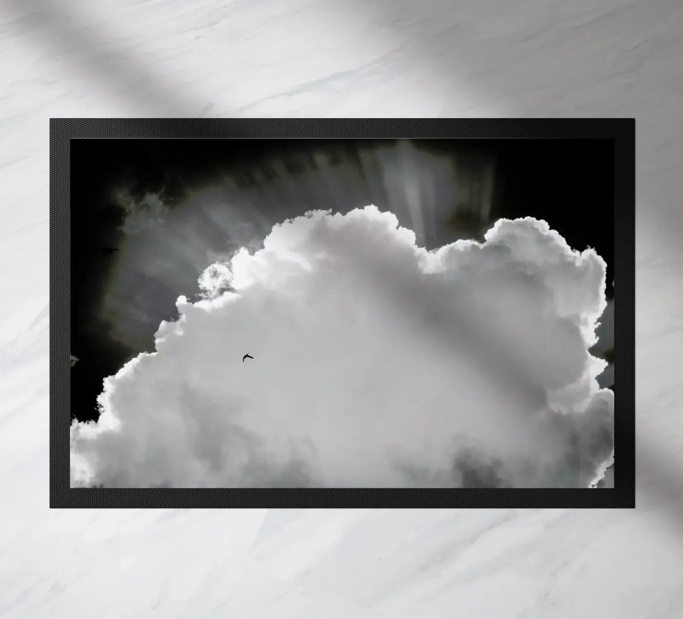 Heavenly zerbino da Tal Paz-Fridman