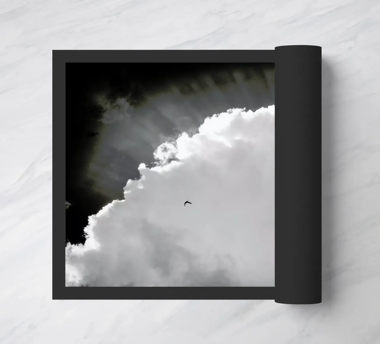 Heavenly zerbino da Tal Paz-Fridman
