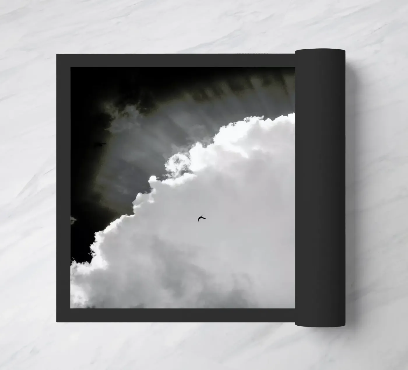 Heavenly zerbino da Tal Paz-Fridman