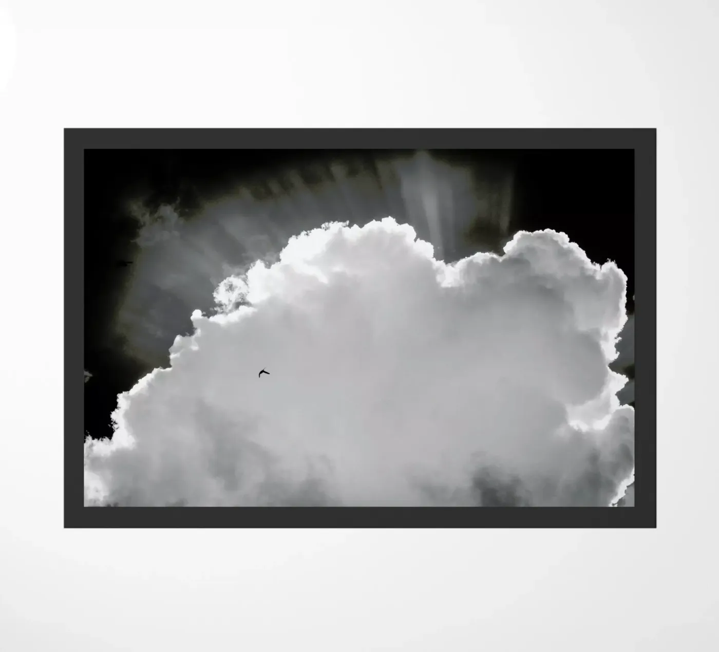 Heavenly zerbino da Tal Paz-Fridman