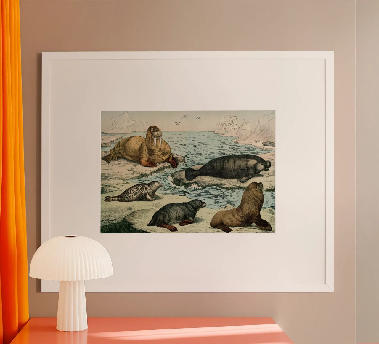 Vintage Schubert 6 Robben 28 poster van Vintage Print Collection