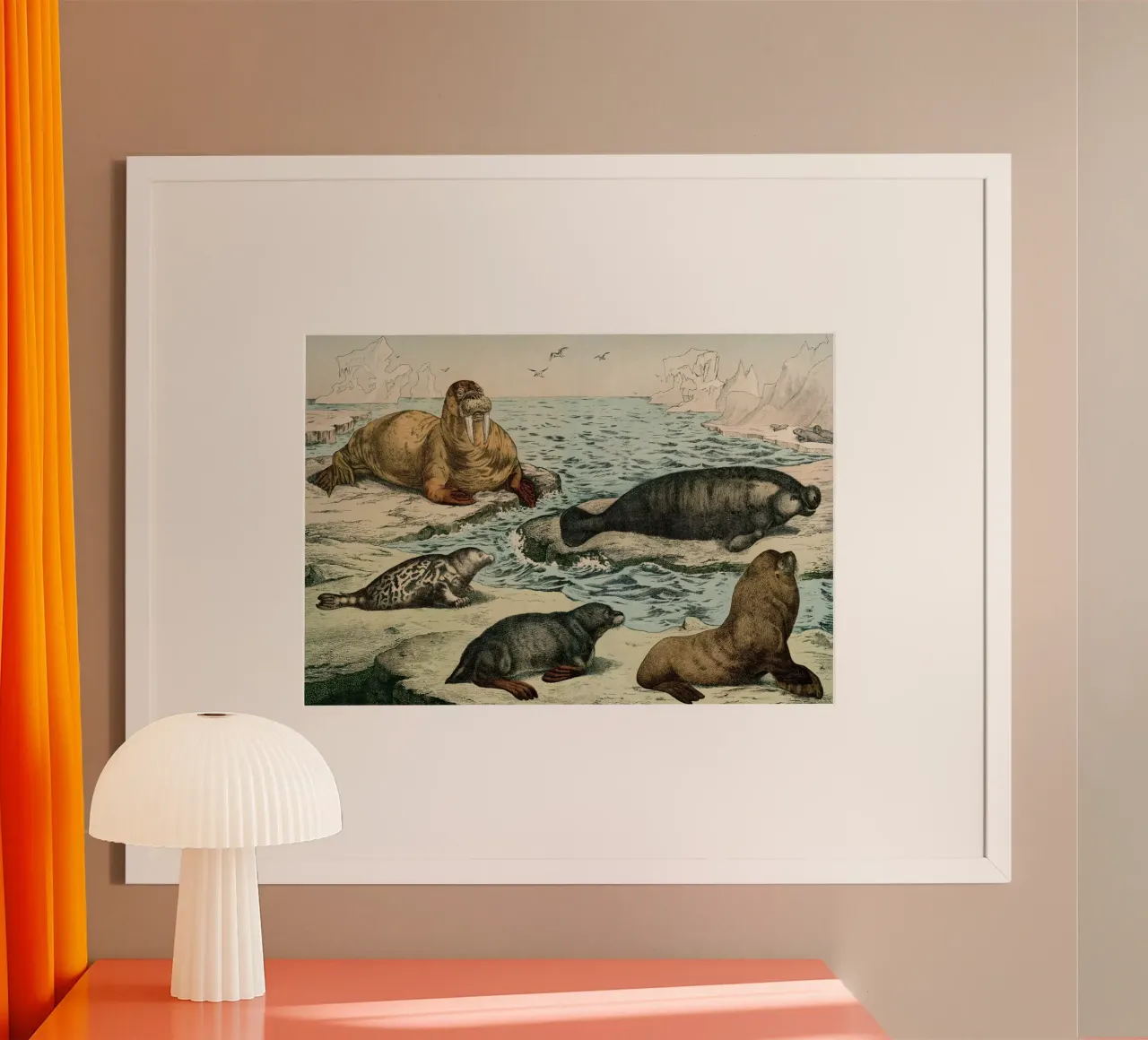 Vintage Schubert 6 Robben 28 poster con telaio in plastica da Vintage Print Collection