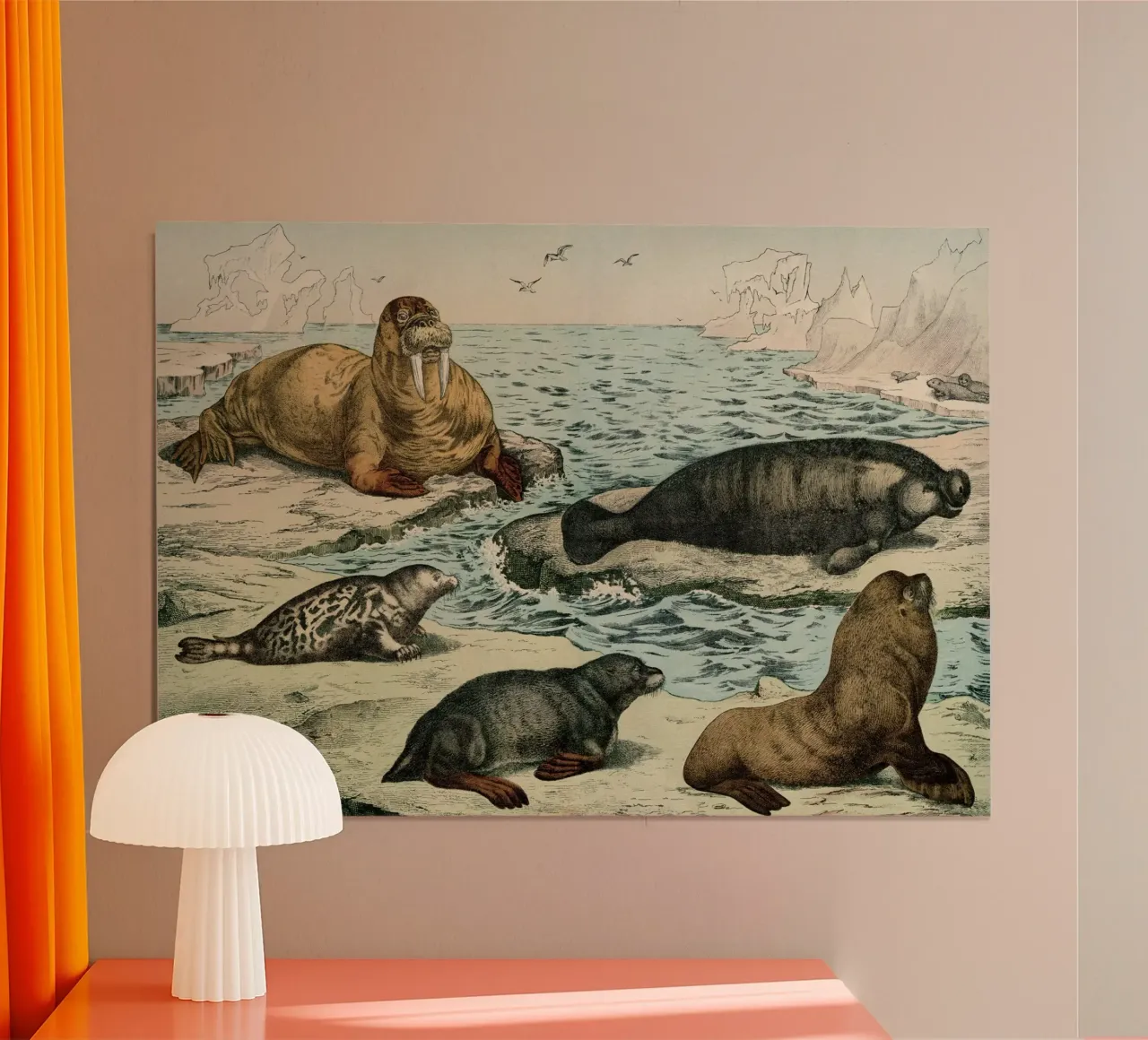 Vintage Schubert 6 Robben 28 poster con telaio in plastica da Vintage Print Collection