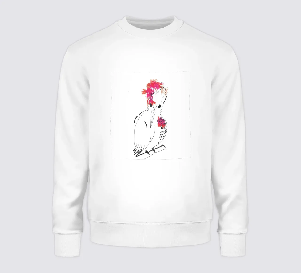 Il Re Uccello felpa da APC ARTWORK