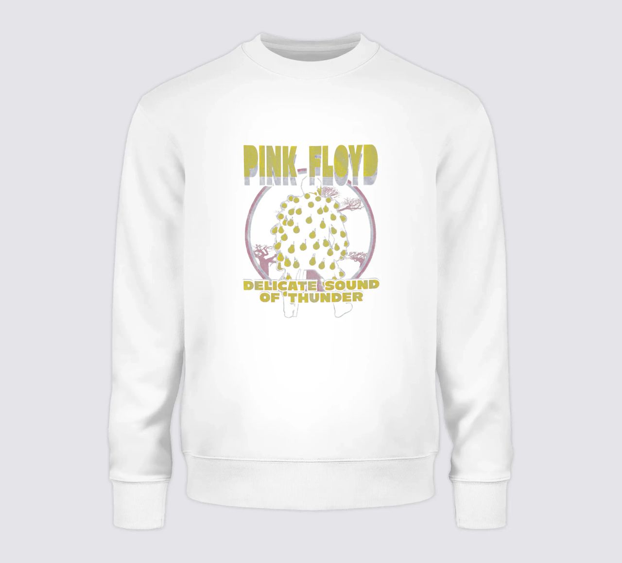 Pink Floyd Delicate Sound Of Thunder felpa da Curtistore