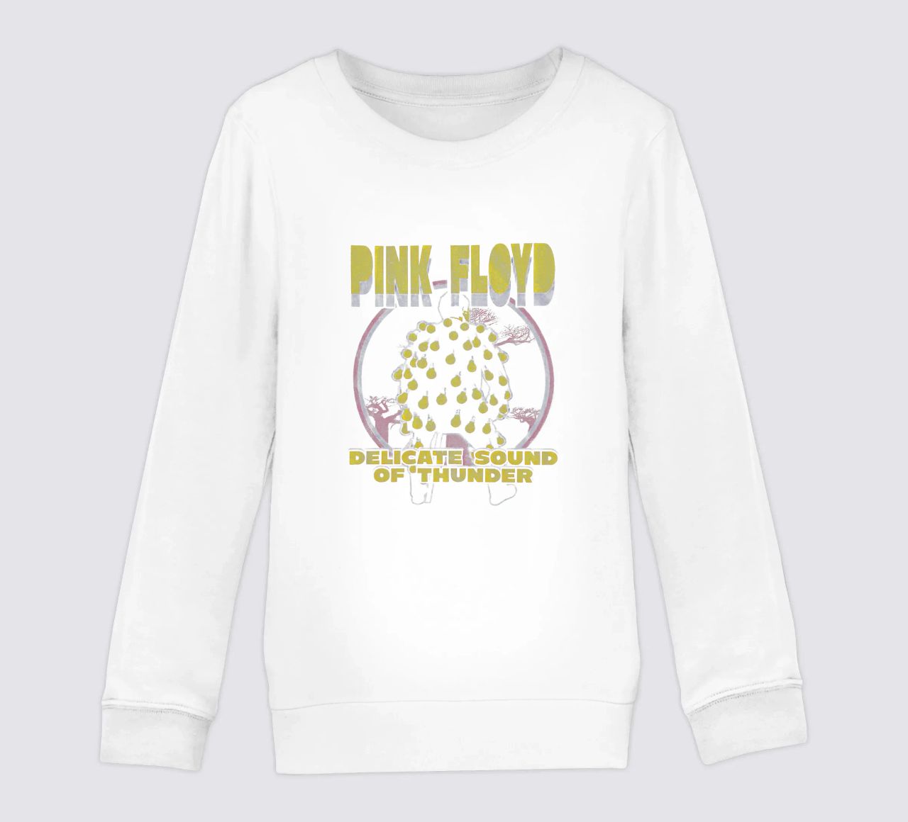 Pink Floyd Delicate Sound Of Thunder felpa bambino da Curtistore