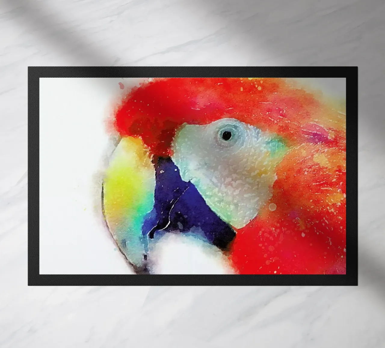 The Articulate zerbino da Jacqueline Maldonado