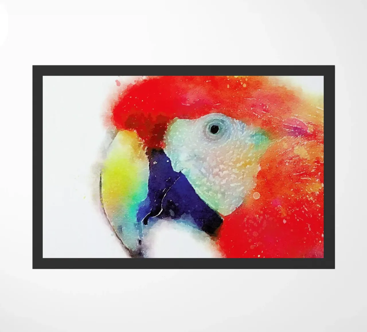 The Articulate zerbino da Jacqueline Maldonado