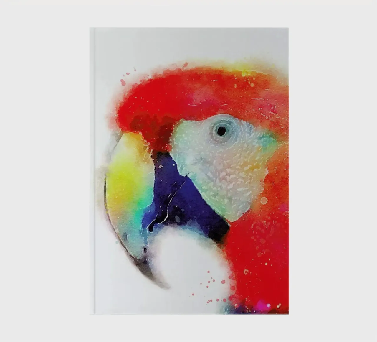 The Articulate notebook by Jacqueline Maldonado