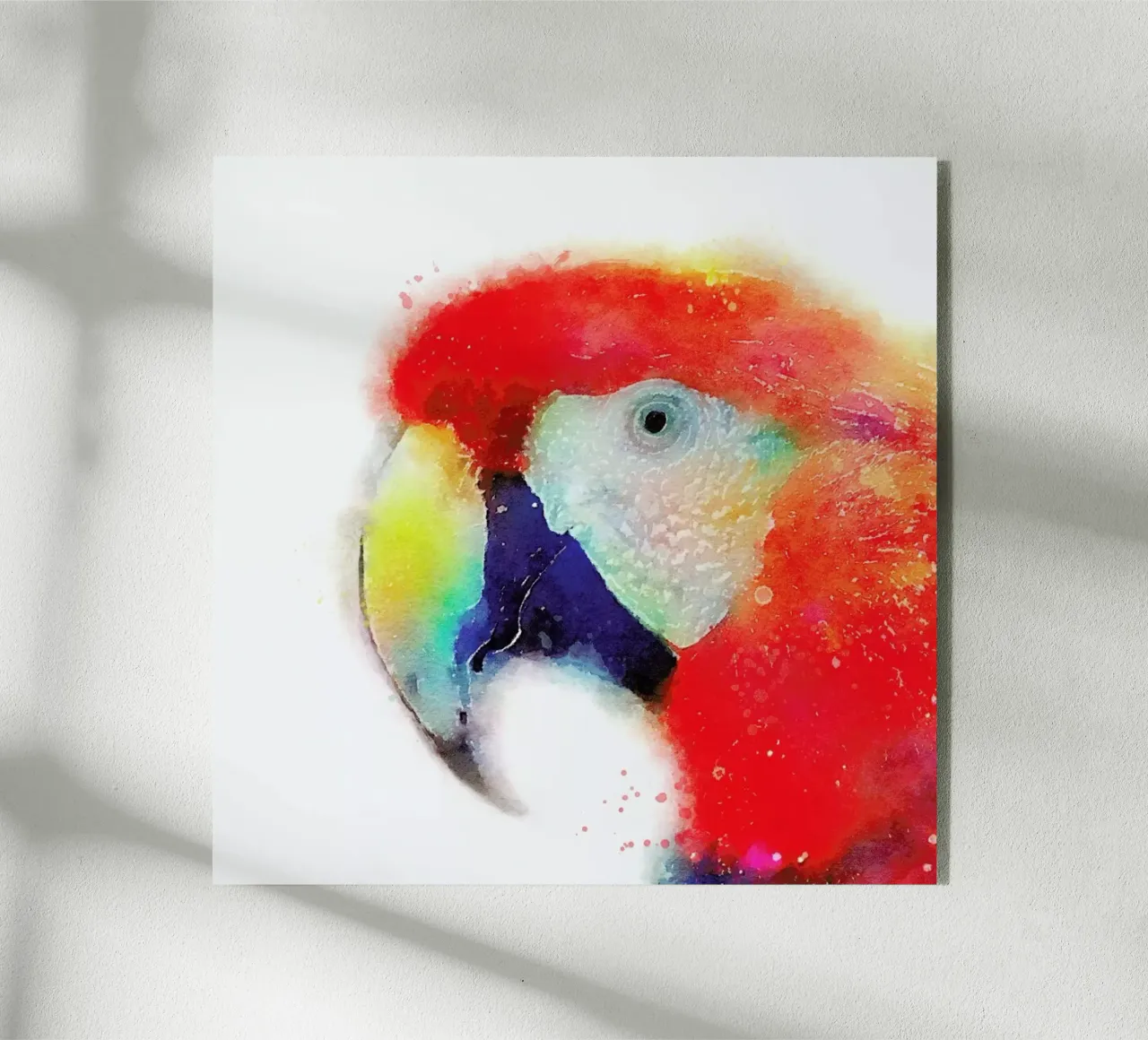 The Articulate plexiglass da Jacqueline Maldonado