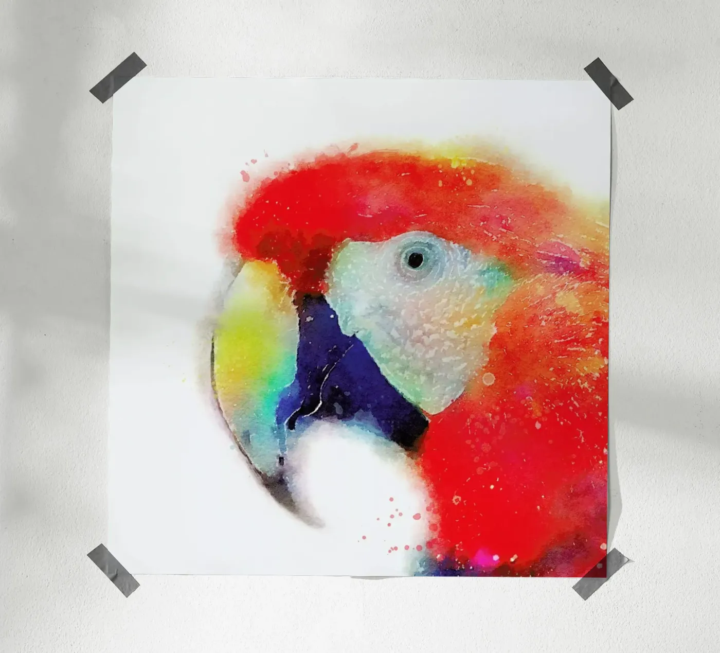 The Articulate poster van Jacqueline Maldonado