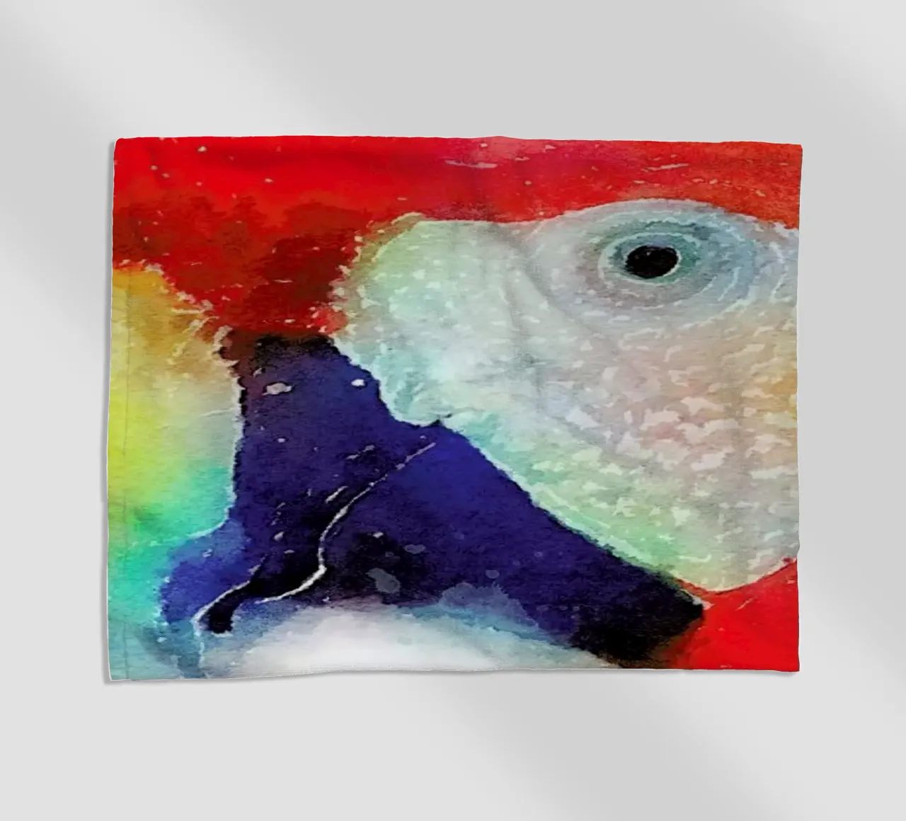 The Articulate telo mare da Jacqueline Maldonado