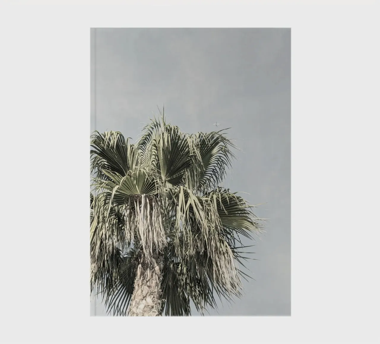 Where Dreams Take Flight. notebook by zenitt