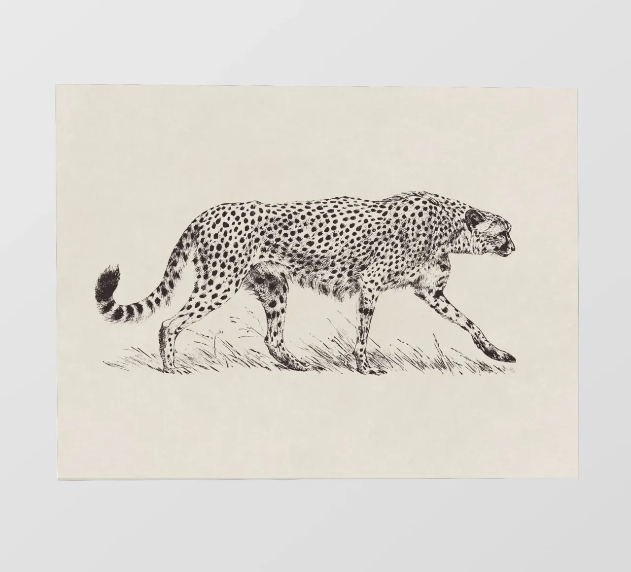 Cheetah Leopard Sketch telo in pvc da apoloprints