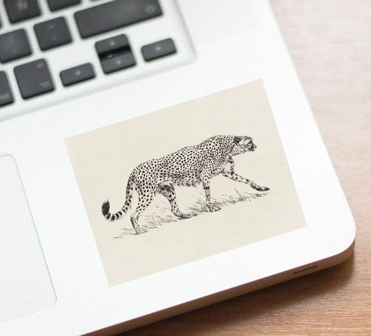 Cheetah Leopard Sketch adesivo da apoloprints
