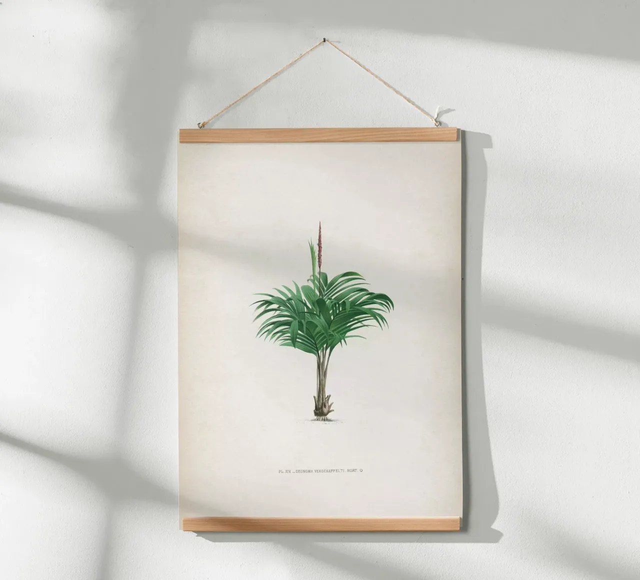 Vintage Kerchove 4 Les Palmiers 19 poster con telaio in plastica da Vintage Print Collection