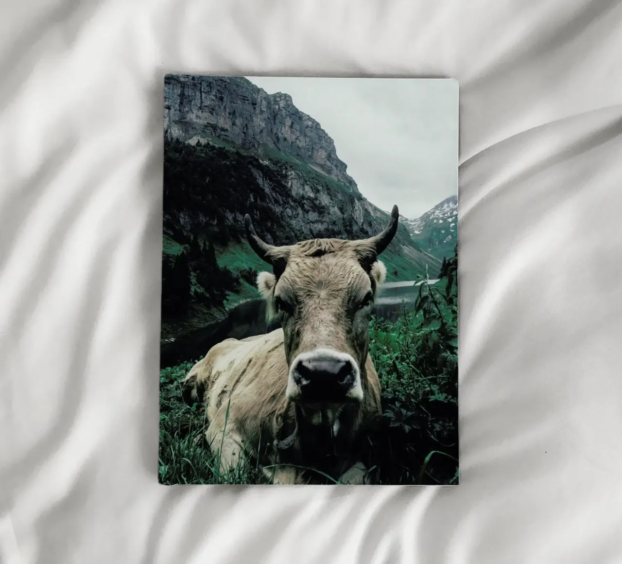 A Natural Habitat notebook by Natural Kingdom